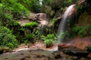 cascata monterano