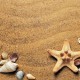 spiaggia-con-conglie-e-stelle-di-mare