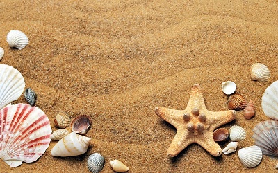 spiaggia-con-conglie-e-stelle-di-mare